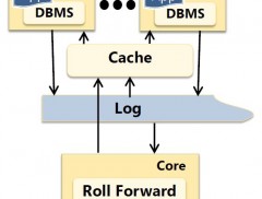 HyderTransactionApplication